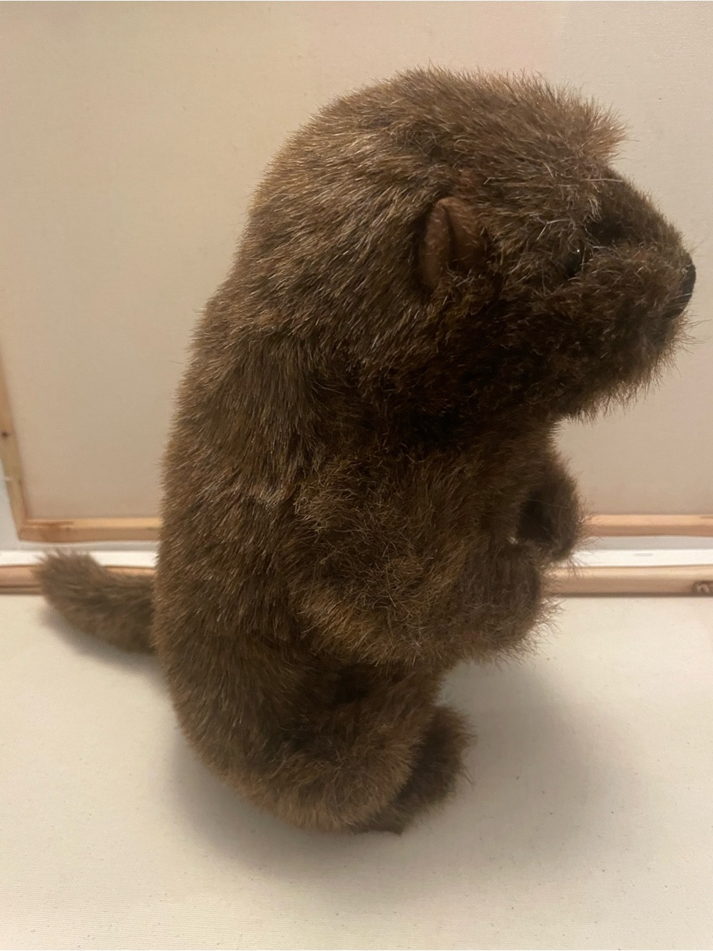 Chuckwood The Woodchuck Retired Douglas Plush stuffed animal brown realistic - Picture 6 of 6